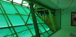 20210707_105117.jpg